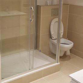 Stone D55 5L